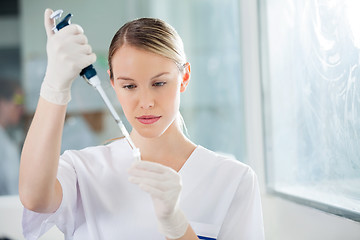 Image showing Scientist Filling Liquid Into Test Tube In Medical Lab