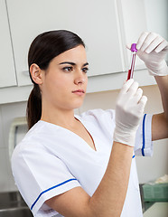 Image showing Technician Analyzing Blood Sample