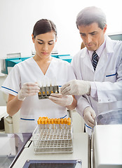 Image showing Researchers Examining Chemicals