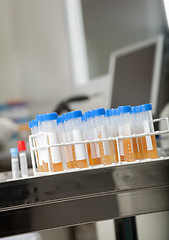 Image showing Test Tubes In Medical Laboratory