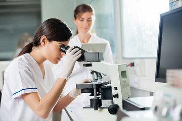 Image showing Female Researcher Looking Through Microscope