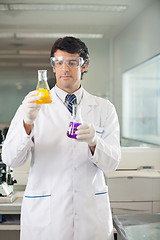 Image showing Scientist Examining Flasks With Different Chemicals