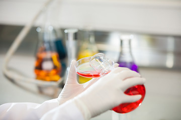 Image showing Scientist Pouring Red Liquid Into Petri Dish