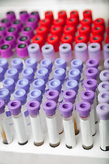 Image showing Test Tubes With Barcodes In Laboratory