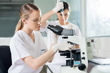 Image showing Scientist Using Microscope In Lab