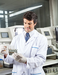 Image showing Technician Analyzing Urine Samples In Laboratory
