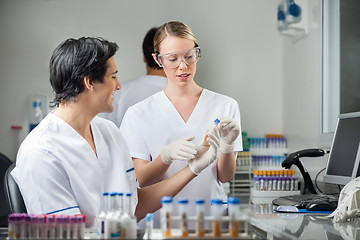 Image showing Technicians Analyzing Sample In Medical Lab