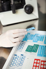 Image showing Scientist Holding Microscope Slide