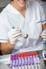 Image showing Researcher Analyzing Samples In Laboratory