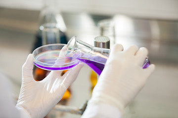 Image showing Scientist Pouring Purple Liquid Into Petri Dish