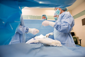 Image showing Team Of Surgeons Operating