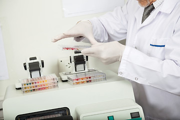 Image showing Scientist Examining Microplate In Lab