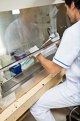 Image showing Technician Experimenting In Laboratory