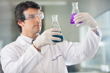 Image showing Scientist Examining Flasks With Different Samples