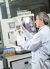 Image showing Researcher Analyzing Urine Samples In Lab