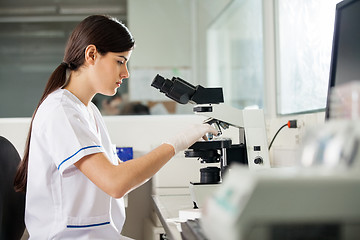 Image showing Female Scientist Using Microscope In Lab