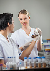 Image showing Happy Technicians Analyzing Sample In Lab