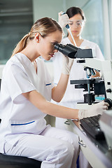 Image showing Scientist Looking Into Microscope In Lab