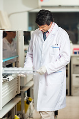 Image showing Technician Placing Samples In Analyzer