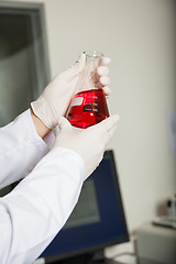 Image showing Scientist Analyzing Red Liquid In Flask