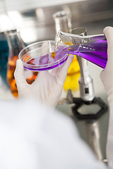 Image showing Researcher Pouring Purple Liquid Into Petri Dish