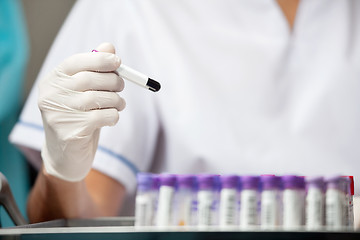 Image showing Researcher Analyzing Sample In Laboratory