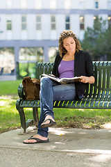 Image showing University Student Reading Book On Bench