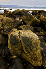 Image showing musk pond beach  water 