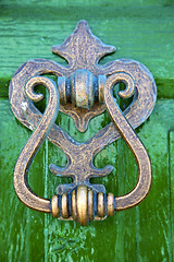 Image showing  spain canarias brass  in a green closed  abstract 