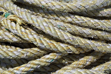 Image showing cove of marine rope closeup