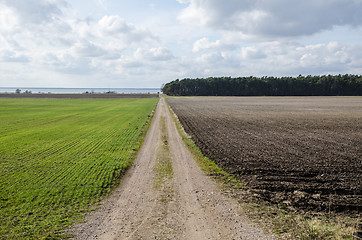 Image showing Dirt road in a rural landscpae