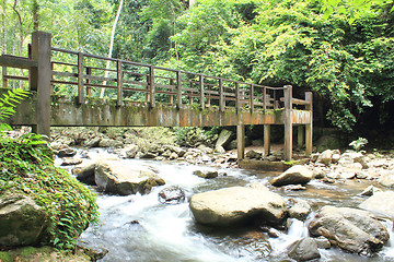 Image showing Bridge over the waterfall in Forest 