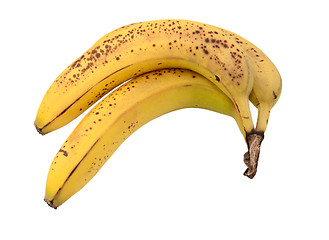 Image showing Three overripe bananas with brown spots