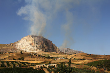 Image showing Forest fire