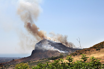 Image showing Forest fire