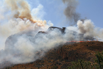 Image showing Forest fire