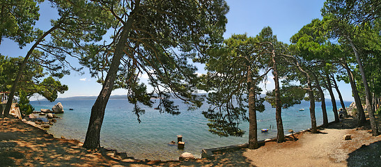 Image showing Saltwater beach