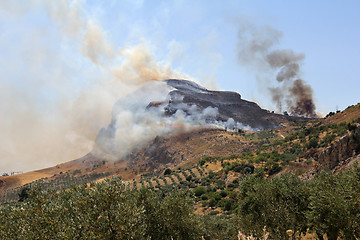 Image showing Forest fire