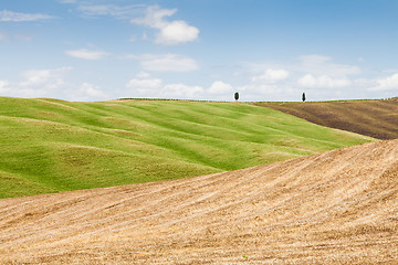 Image showing Tuscany agriculture