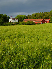 Image showing Farmland in Soft light # 01
