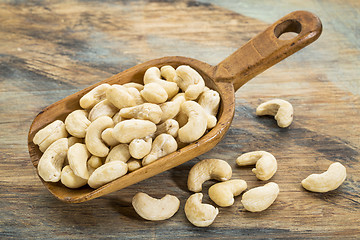 Image showing cashew nuts