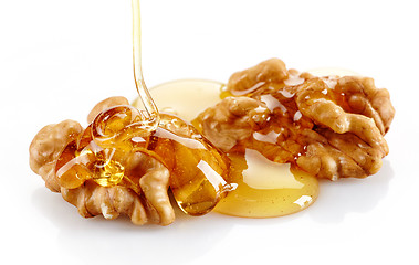 Image showing walnut with honey