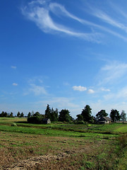 Image showing Peaceful countryside rural landscape