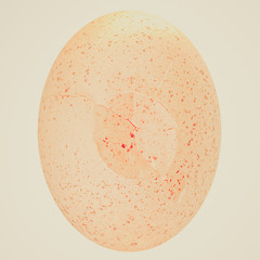 Image showing Retro look Cracked egg