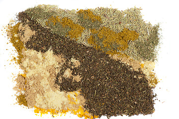 Image showing spices