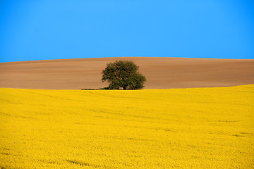 Image showing Rural scenic landscape