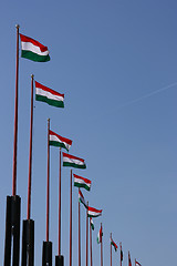 Image showing Row of Hungarian flags