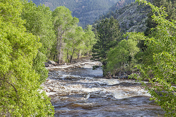 Image showing river rapid in springtime