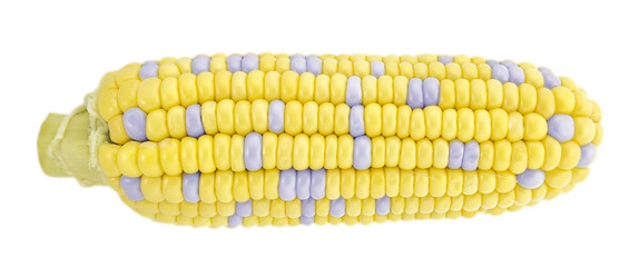 Image showing Corn