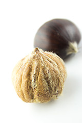 Image showing Sweet chestnuts